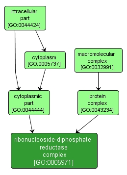 GO:0005971 - ribonucleoside-diphosphate reductase complex (interactive image map)