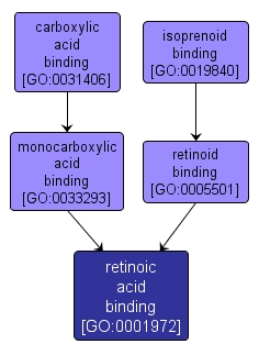 GO:0001972 - retinoic acid binding (interactive image map)