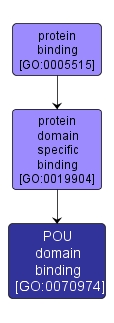 GO:0070974 - POU domain binding (interactive image map)