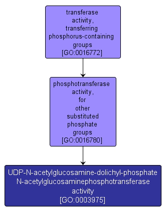 GO:0003975 - UDP-N-acetylglucosamine-dolichyl-phosphate N-acetylglucosaminephosphotransferase activity (interactive image map)