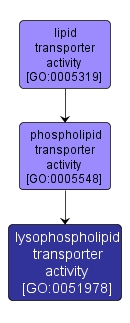 GO:0051978 - lysophospholipid transporter activity (interactive image map)