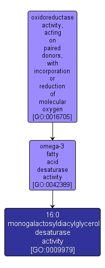 GO:0009979 - 16:0 monogalactosyldiacylglycerol desaturase activity (interactive image map)