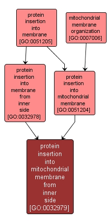 GO:0032979 - protein insertion into mitochondrial membrane from inner side (interactive image map)