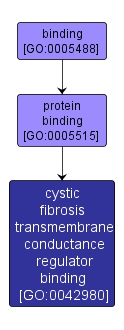 GO:0042980 - cystic fibrosis transmembrane conductance regulator binding (interactive image map)