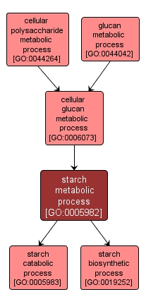 GO:0005982 - starch metabolic process (interactive image map)