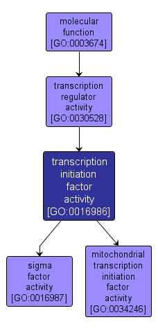 GO:0016986 - transcription initiation factor activity (interactive image map)