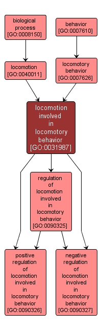 GO:0031987 - locomotion involved in locomotory behavior (interactive image map)