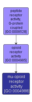 GO:0004988 - mu-opioid receptor activity (interactive image map)