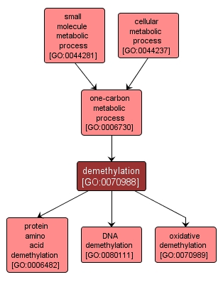 GO:0070988 - demethylation (interactive image map)