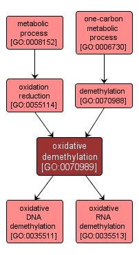 GO:0070989 - oxidative demethylation (interactive image map)