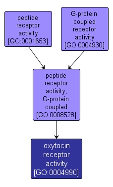 GO:0004990 - oxytocin receptor activity (interactive image map)