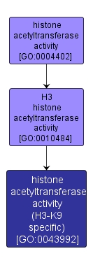 GO:0043992 - histone acetyltransferase activity (H3-K9 specific) (interactive image map)
