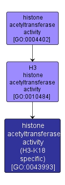 GO:0043993 - histone acetyltransferase activity (H3-K18 specific) (interactive image map)