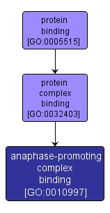 GO:0010997 - anaphase-promoting complex binding (interactive image map)