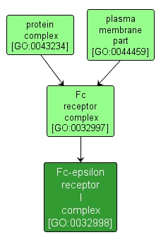 GO:0032998 - Fc-epsilon receptor I complex (interactive image map)