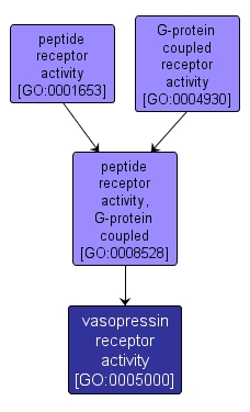 GO:0005000 - vasopressin receptor activity (interactive image map)