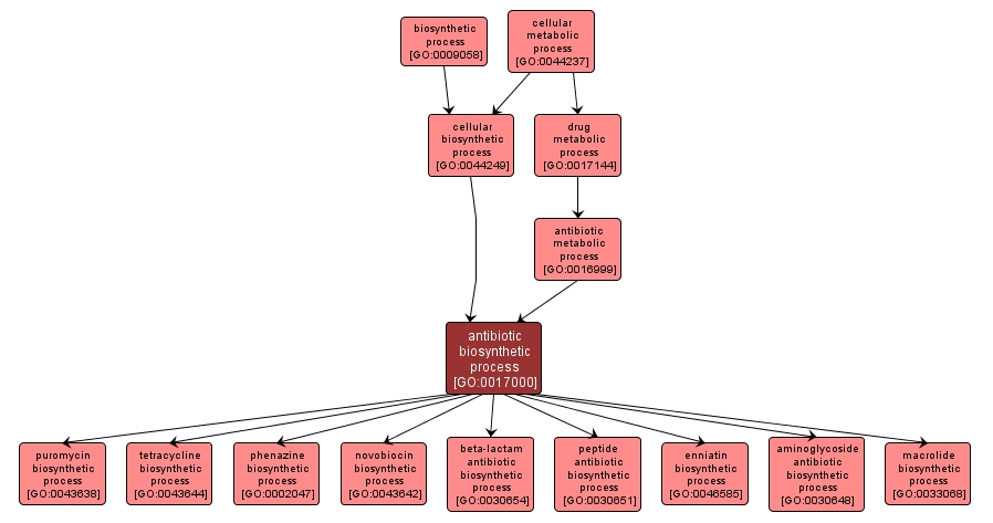 GO:0017000 - antibiotic biosynthetic process (interactive image map)