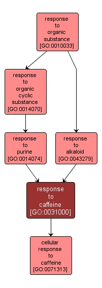 GO:0031000 - response to caffeine (interactive image map)