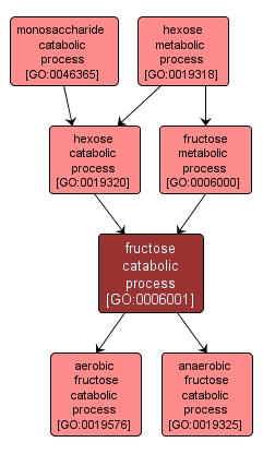 GO:0006001 - fructose catabolic process (interactive image map)