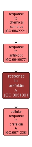 GO:0031001 - response to brefeldin A (interactive image map)