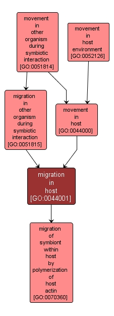 GO:0044001 - migration in host (interactive image map)