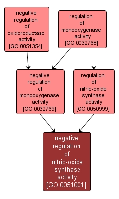GO:0051001 - negative regulation of nitric-oxide synthase activity (interactive image map)