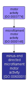 GO:0060001 - minus-end directed microfilament motor activity (interactive image map)