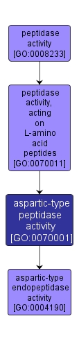GO:0070001 - aspartic-type peptidase activity (interactive image map)