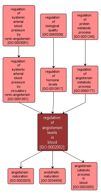 GO:0002002 - regulation of angiotensin levels in blood (interactive image map)