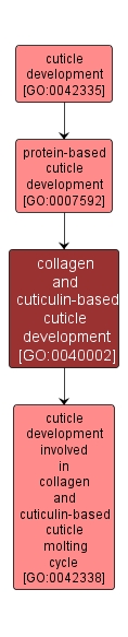 GO:0040002 - collagen and cuticulin-based cuticle development (interactive image map)