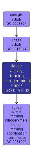 GO:0051002 - ligase activity, forming nitrogen-metal bonds (interactive image map)