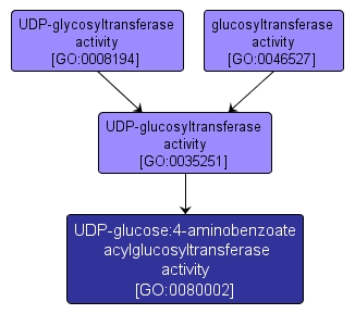 GO:0080002 - UDP-glucose:4-aminobenzoate acylglucosyltransferase activity (interactive image map)
