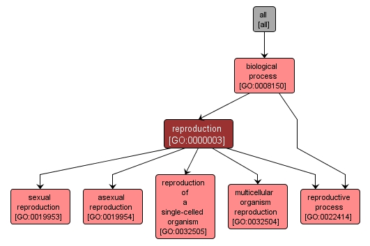 GO:0000003 - reproduction (interactive image map)