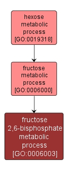 GO:0006003 - fructose 2,6-bisphosphate metabolic process (interactive image map)