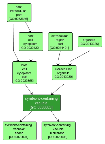GO:0020003 - symbiont-containing vacuole (interactive image map)