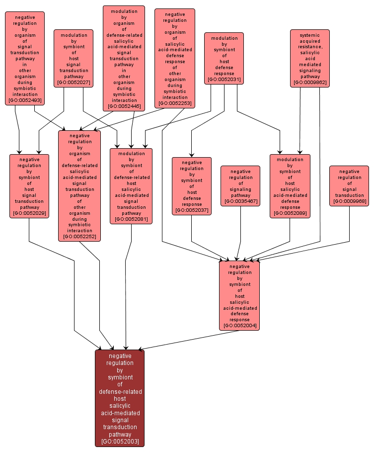 GO:0052003 - negative regulation by symbiont of defense-related host salicylic acid-mediated signal transduction pathway (interactive image map)