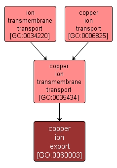 GO:0060003 - copper ion export (interactive image map)