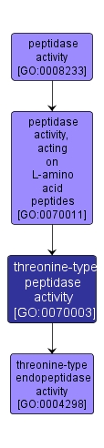 GO:0070003 - threonine-type peptidase activity (interactive image map)