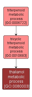 GO:0080003 - thalianol metabolic process (interactive image map)