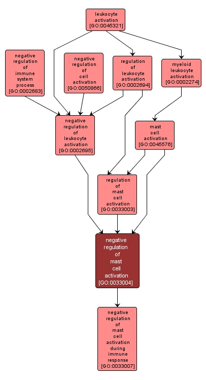 GO:0033004 - negative regulation of mast cell activation (interactive image map)