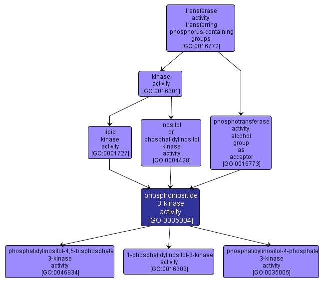 GO:0035004 - phosphoinositide 3-kinase activity (interactive image map)