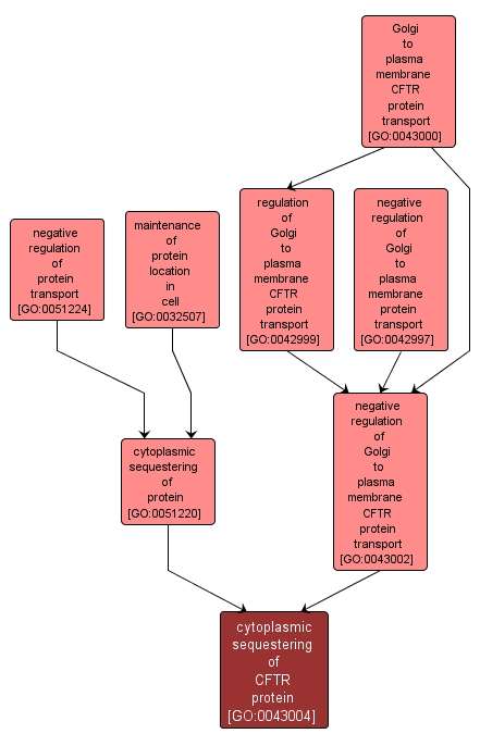 GO:0043004 - cytoplasmic sequestering of CFTR protein (interactive image map)
