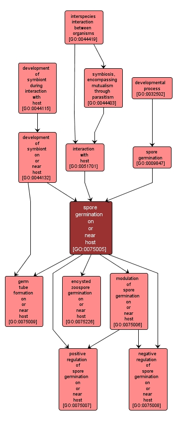 GO:0075005 - spore germination on or near host (interactive image map)