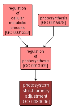 GO:0080005 - photosystem stoichiometry adjustment (interactive image map)