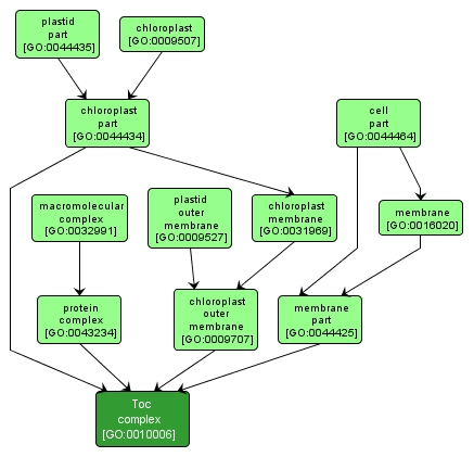 GO:0010006 - Toc complex (interactive image map)