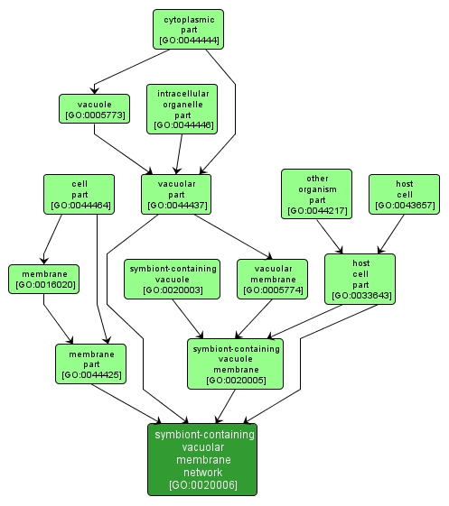 GO:0020006 - symbiont-containing vacuolar membrane network (interactive image map)