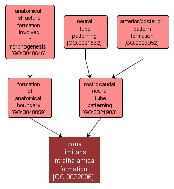 Zli YRC Public Data Repository - Gene Ontology - zona limitans ...