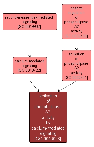 GO:0043006 - activation of phospholipase A2 activity by calcium-mediated signaling (interactive image map)