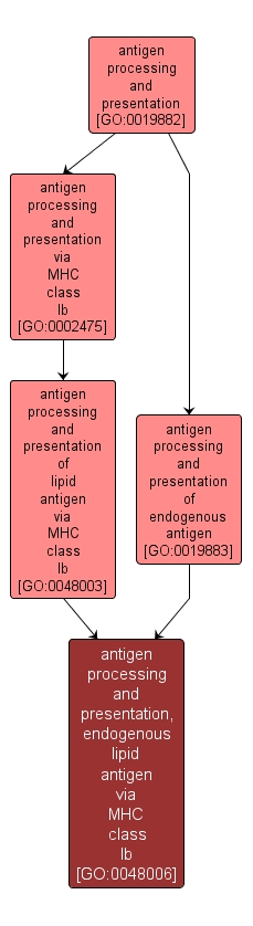 GO:0048006 - antigen processing and presentation, endogenous lipid antigen via MHC class Ib (interactive image map)