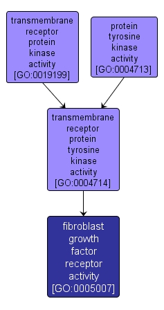 GO:0005007 - fibroblast growth factor receptor activity (interactive image map)